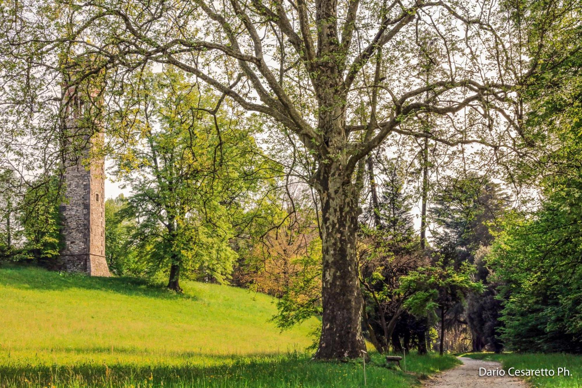 Villa Cagnola Schianno Zewnętrze zdjęcie